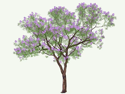 Tall Tree with Lush Green Leaves and Purple Flowers on Brown Trunk 3d model