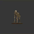 Detailed Monkey Skeleton Model Display on Brown Wooden Base with Dark Background