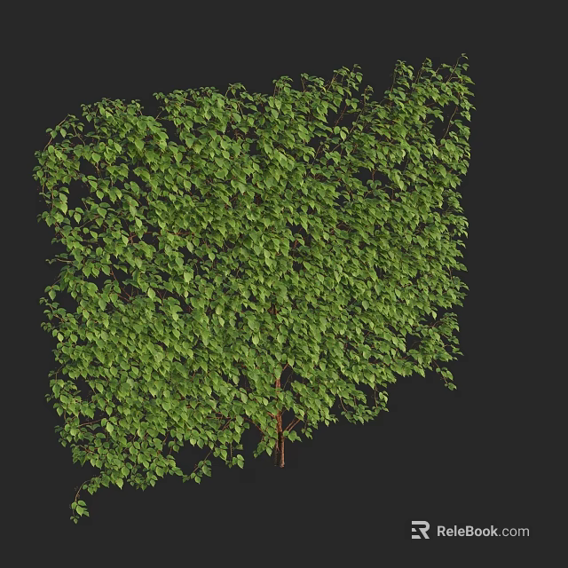 Lush Green Vine Covering Wall Structure With Dense Foliage Growth 3d model