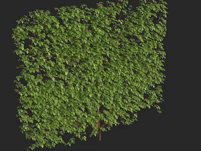 Lush Green Vine Covering Wall Structure With Dense Foliage Growth 3d model