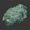 Organ Specimen With Hair Like Fibrous Textured Surface And Irregular Shape