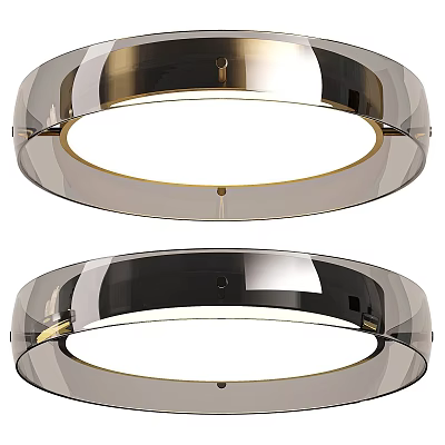Modern Round Ceiling Light With Metal Frame And LED Lighting Black Gold Design 3d model