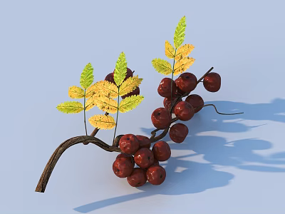 Fresh Ripe Red Berries on Branch with Yellow and Green Leaves 3d model