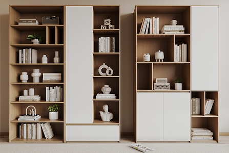 Nordic Bookcase 3d model