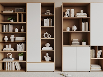 Nordic Bookcase 3d model