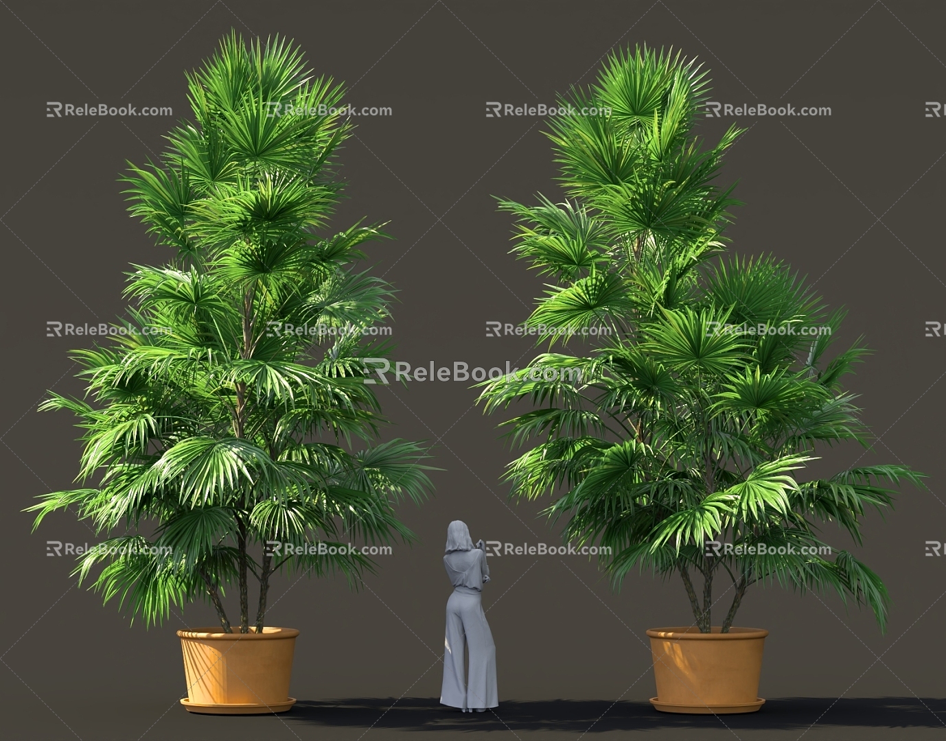 Scatter Kwai, Brown Bamboo, Palm Bonsai, Chinese Style Sick, Green Plant, Tree Pond, Flower-bed, Street Tree model