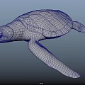 Reptile Sea Turtle With Textured Shell And Flippers Swimming Gracefully