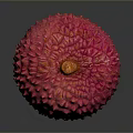 Single Shiny Pink Lychee Fruit With Bumpy Texture On Dark Background 3d model
