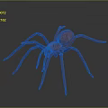 Spider With Red Body And Blue Red Legs On Gray Background 3d model