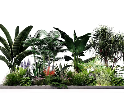 Diverse Garden Flowers and Plants With Large Leaves Purple Blooms and Greenery 3d model