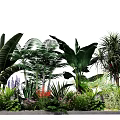 Diverse Garden Flowers and Plants With Large Leaves Purple Blooms and Greenery