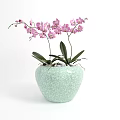 Elegant Potted Purple Orchid Plant In Light Green Crackle Texture Pot