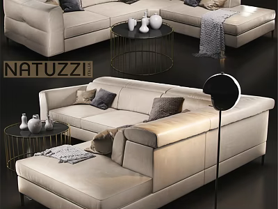 NATUZZI Beige Double Sofa With Pillows Round Coffee Table And Floor Lamp 3d model