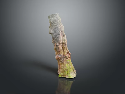 Natural Wood Stone Decorative Piece With Textured Surface And Green Moss Detail 3d model