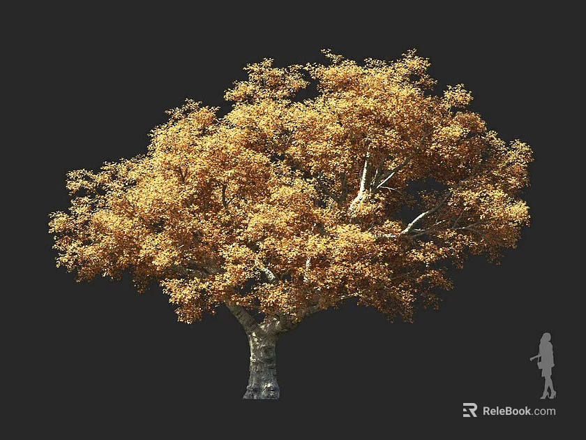 Tall Tree with Golden Leaves Against Black Background and Silhouette Nearby 3d model 
