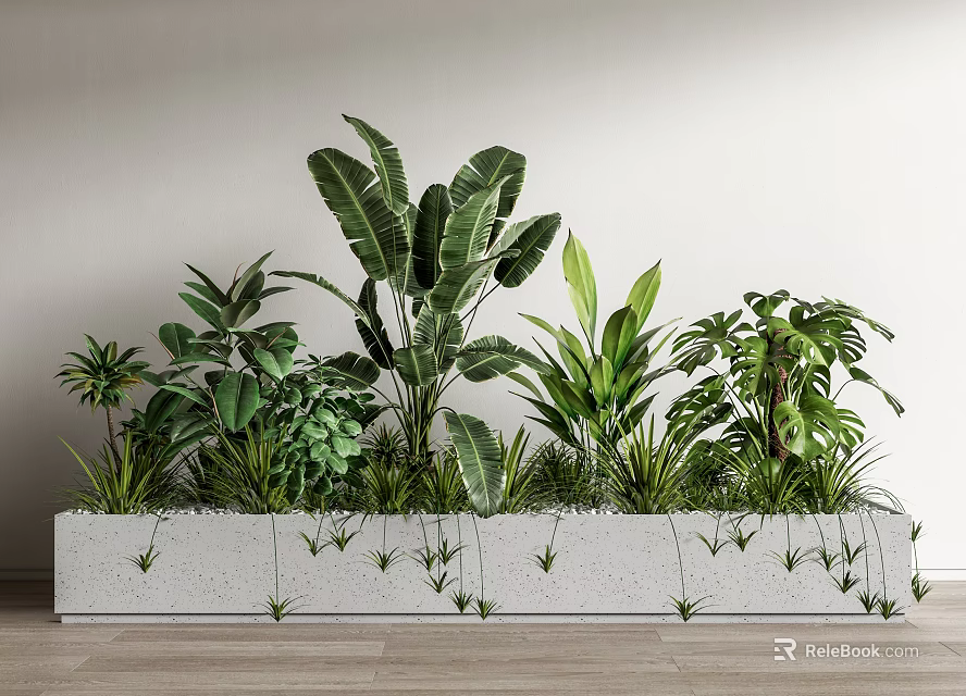 Indoor Bonsai Potted Plants Arrangement With Concrete Planter And Diverse Green Foliage 3d model 