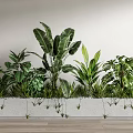 Indoor Bonsai Potted Plants Arrangement With Concrete Planter And Diverse Green Foliage