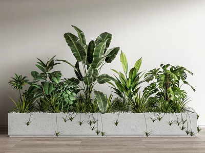 Indoor Bonsai Potted Plants Arrangement With Concrete Planter And Diverse Green Foliage 3d model