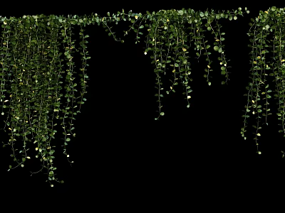 Lush Green Hanging Vines With Cascading Branches Fresh Leaves And Natural Decor 3d model