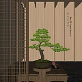 Artistic Bonsai Pine Tree With Curved Trunk Green Foliage In Decorative Pot And Wooden Background