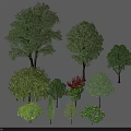 Arbor Trees Various Types With Different Shapes And Lush Green Foliage Collection 3d model