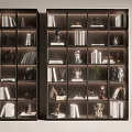 Black Display Cabinets Interior With Glass Doors Books Figurines Sculptures And Green Plants