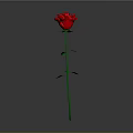 Red Rose Themed Decorative Light With Green Stem On Grey Background 3d model