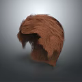 Realistic Brown Human Hair Design For Head Organ Model With Natural Texture