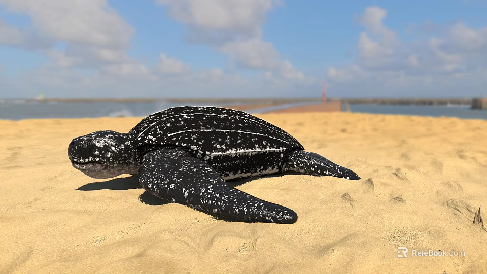 Black and White Spotted Sea Turtle Crawling on Sandy Beach Under Blue Sky 3d model 