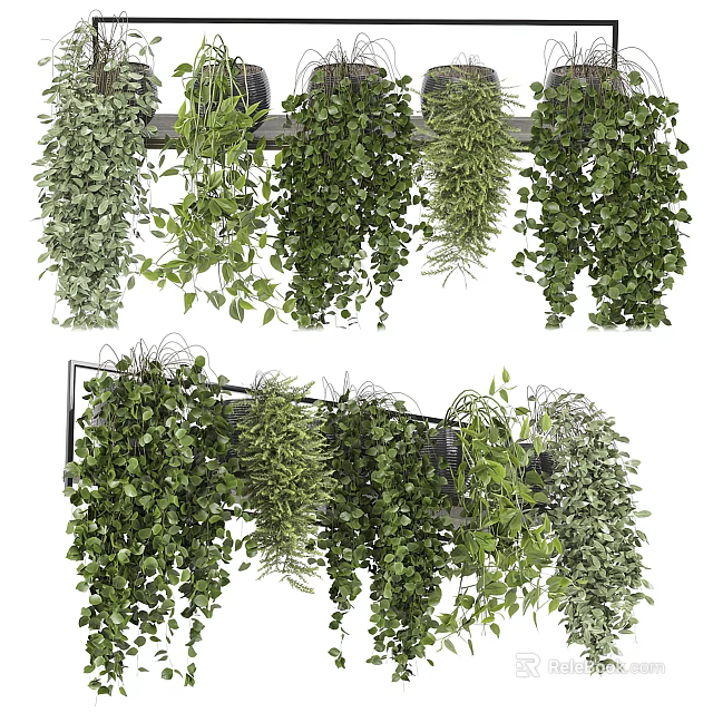 Lush Trailing Hanging Basket Plants With Green Foliage For Indoor Home Decor 3d model 