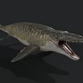 Prehistoric Aquatic Reptile With Sharp Teeth Open Mouth Flippers And Streamlined Body