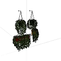 Hanging Basket Plants With Lush Trailing Greenery For Indoor Wall Decor