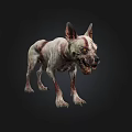Undead Zombie Dog With Bloodstained Body Open Wounds And Sharp Teeth