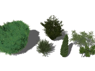 Ornamental Shrubs For Garden Landscaping With Various Green Foliage And Shapes 3d model