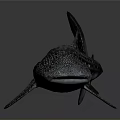 Whale Shark With Spotted Body Streamlined Shape Dorsal Fin And Tail Fin