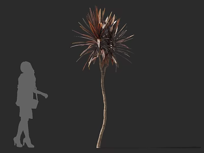 Tall Tree With Red Brown Leaves And Slender Trunk Beside Human Silhouette 3d model