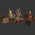 Blooming Cactus And Orchid Plants In Wooden Planters And Open Wooden Boxes