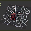 Spider With Black Body And Red Square Markings On Intricate Spider Web