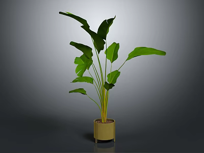 Lush Green Banana Leaf Plant In Minimalist Brown Pot With Broad Foliage 3d model