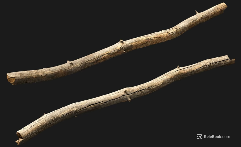 Natural Stone And Wood Branches With Thorns On Black Background 3d model 