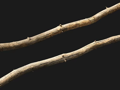 Natural Stone And Wood Branches With Thorns On Black Background 3d model