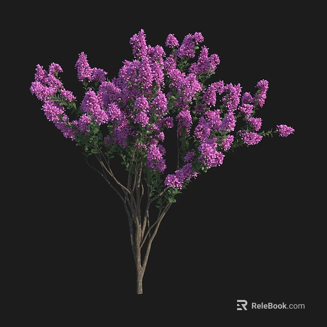 Lilac Tree With Abundant Purple Blossoms Green Leaves And Slender Branches 3d model 