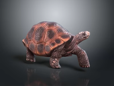 Detailed Brown Turtle with Textured Shell Standing on Dark Reflective Surface 3d model