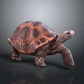Detailed Brown Turtle with Textured Shell Standing on Dark Reflective Surface 3d model