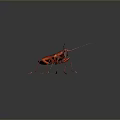 Detailed Shiny Red Insect With Long Antennae And Glossy Body On Dark Background