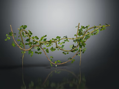 Green Vines With Twisted Branches And Lush Leaves On Black Background With Reflection 3d model
