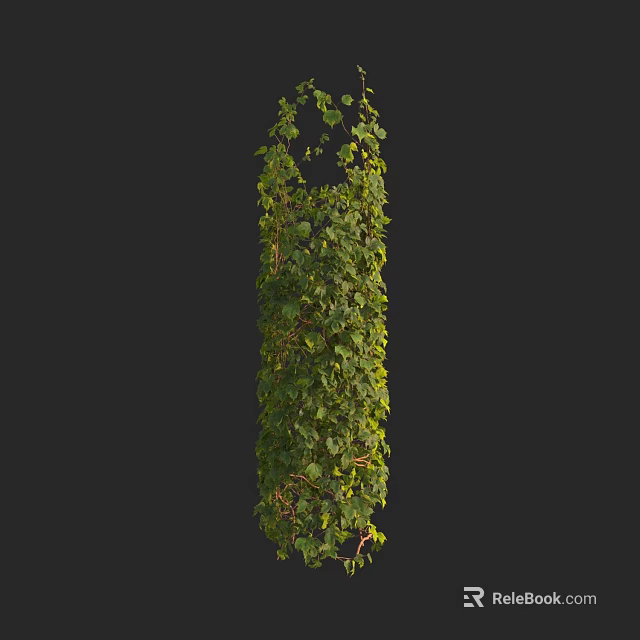 Lush Green Vine Plant With Dense Foliage Vertical Growth Against Dark Background 3d model 