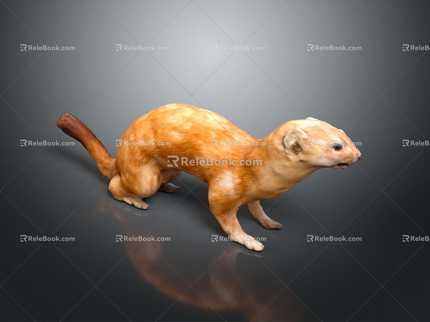 Mink Ferret Mink Smokie Cat Weasel Cartoon Smokie Cat Cartoon Weasel Cartoon Animal Cartoon Characters 3d model