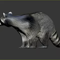 Realistic Raccoon With Gray Fur Striped Tail And Shiny Surface Reflection