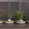 Bonsai Potted Plants with Ferns in Stone Pots on Wooden Table and Wooden Screen Background